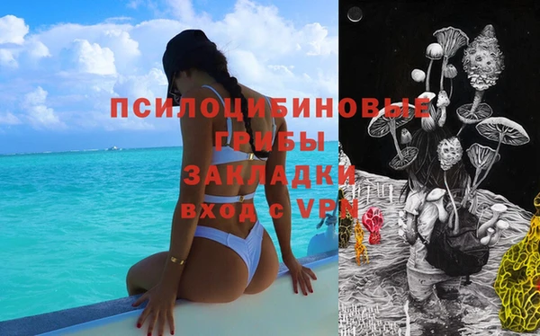 спайс Верея