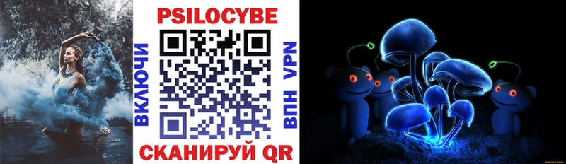 OMG как зайти  Вязники  Галлюциногенные грибы прущие грибы 